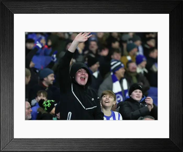 Framed Print : Brighton and Hove Albion v Brentford Premier League 27DEC24