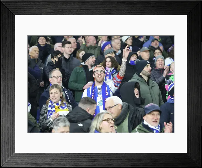 Framed Print : Brighton and Hove Albion v Brentford Premier League 27DEC24