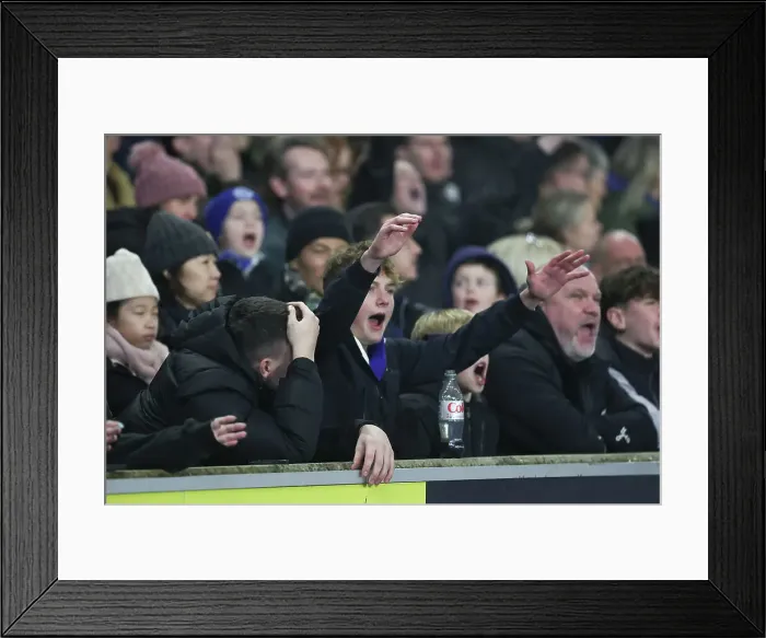 Framed Print : Brighton and Hove Albion v Brentford Premier League 27DEC24