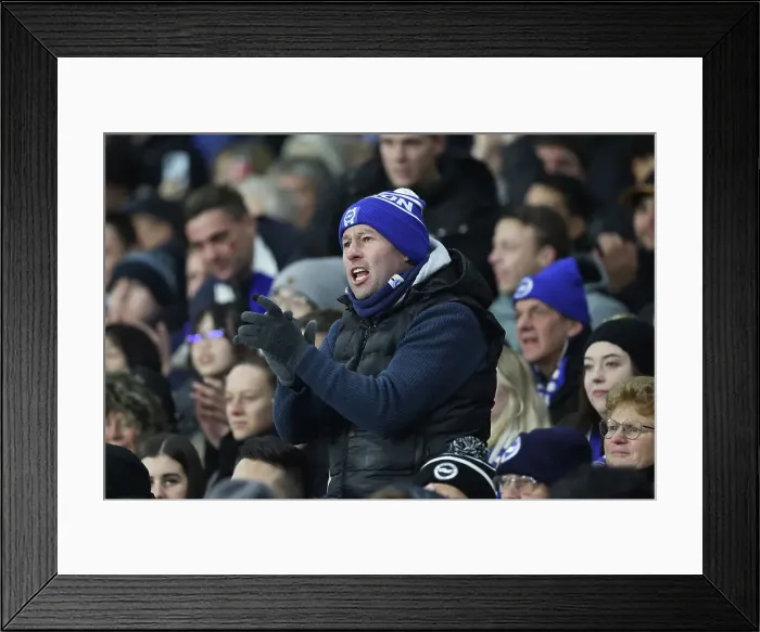 Framed Print : Brighton and Hove Albion v Brentford Premier League 27DEC24