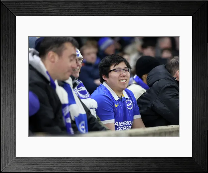 Framed Print : Brighton and Hove Albion v Brentford Premier League 27DEC24
