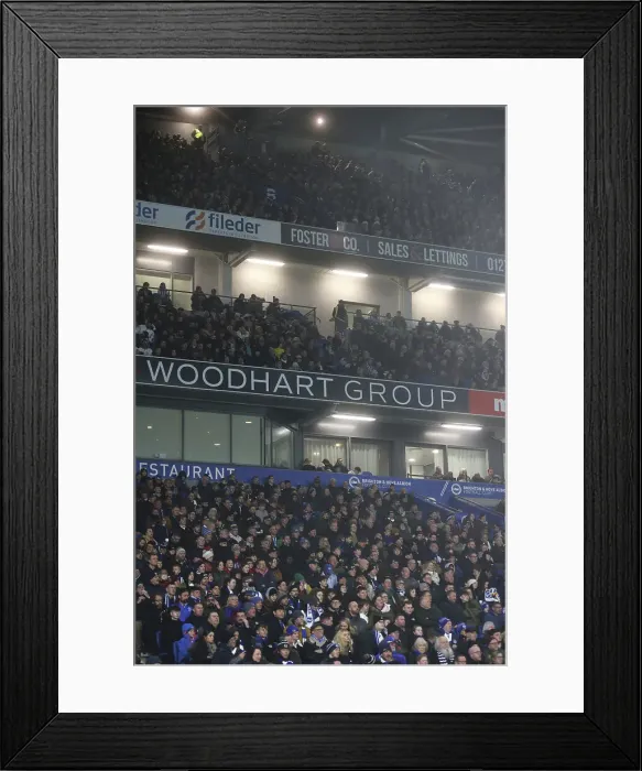 Framed Print : Brighton and Hove Albion v Brentford Premier League 27DEC24