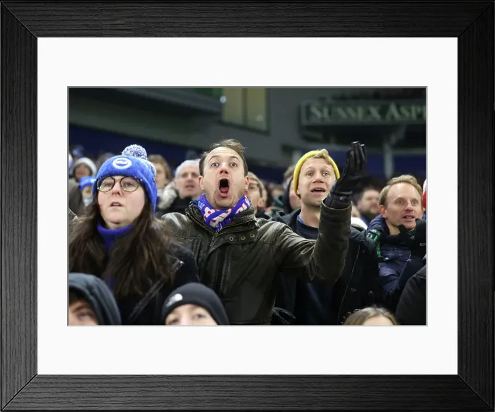 Framed Print : Brighton and Hove Albion v Brentford Premier League 27DEC24