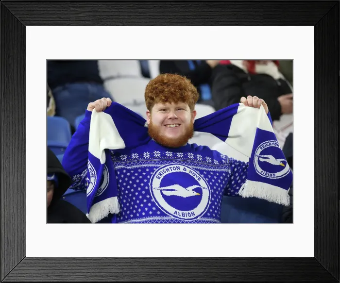 Framed Print : Brighton and Hove Albion v Brentford Premier League 27DEC24 Framed Print : Brighton and Hove Albion v Brentford Premier League 27DEC24