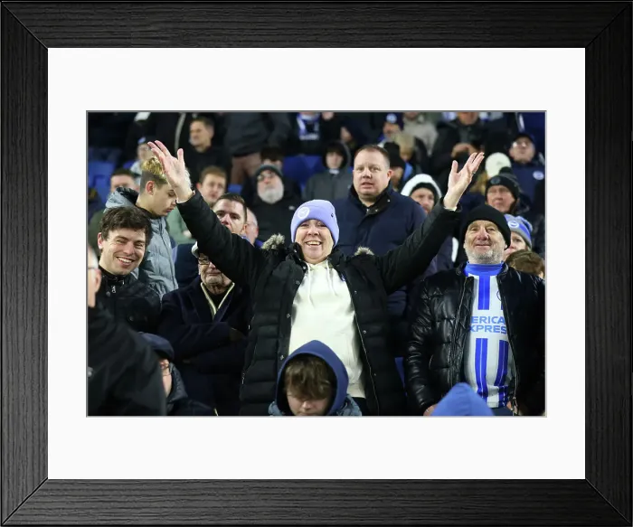 Framed Print : Brighton and Hove Albion v Brentford Premier League 27DEC24
