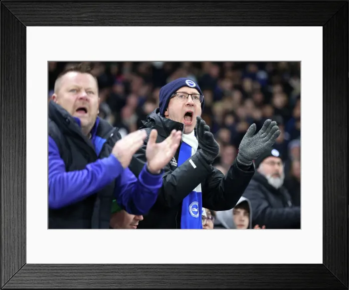 Framed Print : Brighton and Hove Albion v Brentford Premier League 27DEC24