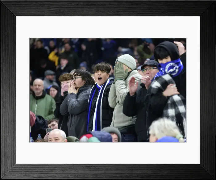 Framed Print : Brighton and Hove Albion v Brentford Premier League 27DEC24 Framed Print : Brighton and Hove Albion v Brentford Premier League 27DEC24