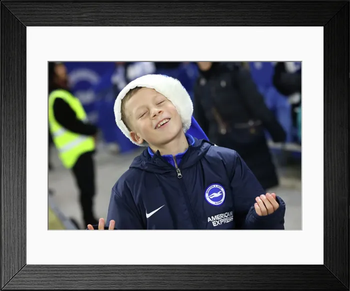 Framed Print : Brighton and Hove Albion v Brentford Premier League 27DEC24