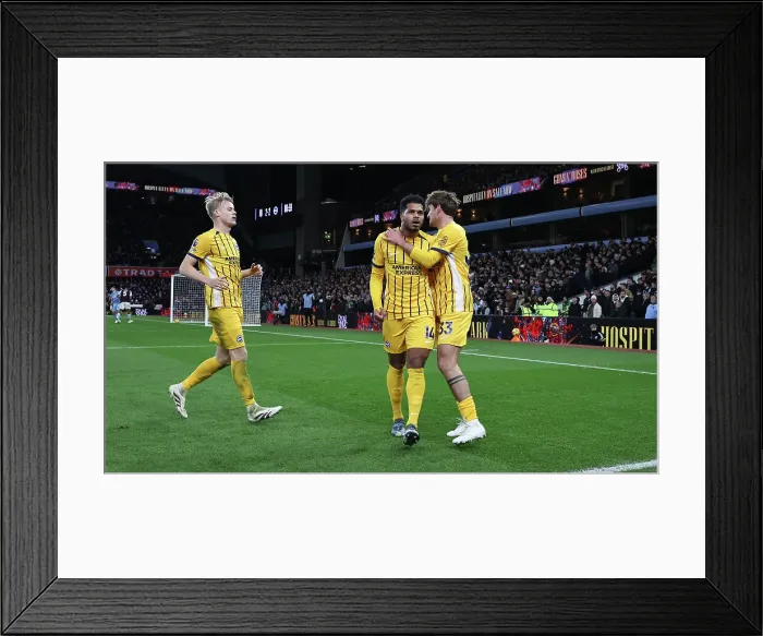 Framed Print : Aston Villa v Brighton and Hove Albion Premier League 30DEC24