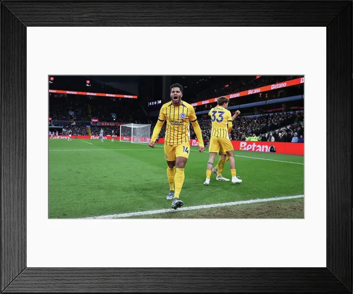 Framed Print : Aston Villa v Brighton and Hove Albion Premier League 30DEC24