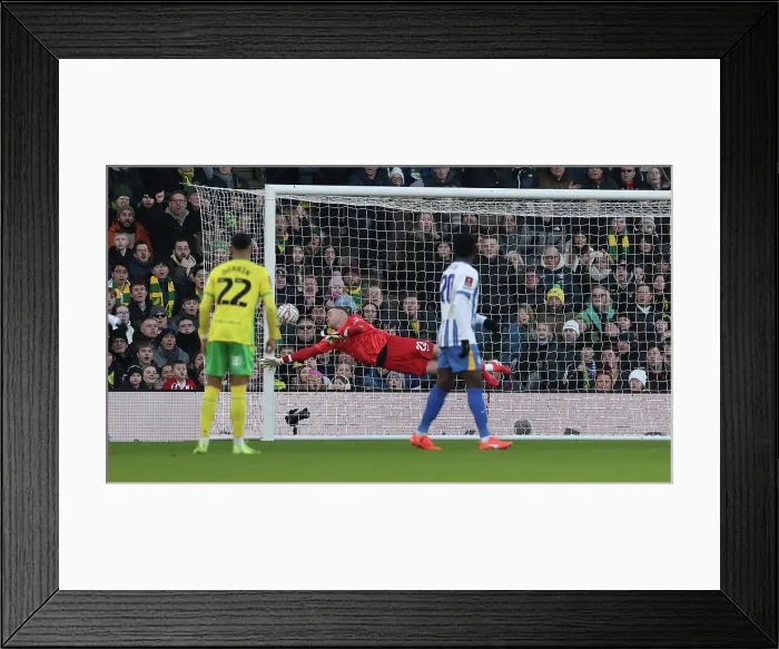 Framed Print : Norwich City v Brighton and Hove Albion Emirates FA Cup 11JAN25 Framed Print : Norwich City v Brighton and Hove Albion Emirates FA Cup 11JAN25