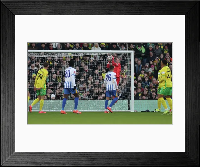 Framed Print : Norwich City v Brighton and Hove Albion Emirates FA Cup 11JAN25 Framed Print : Norwich City v Brighton and Hove Albion Emirates FA Cup 11JAN25
