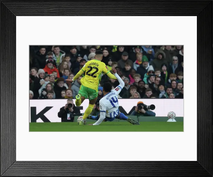 Framed Print : Norwich City v Brighton and Hove Albion Emirates FA Cup 11JAN25 Framed Print : Norwich City v Brighton and Hove Albion Emirates FA Cup 11JAN25