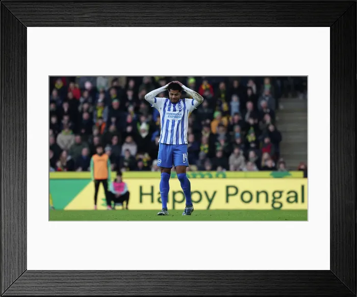 Framed Print : Norwich City v Brighton and Hove Albion Emirates FA Cup 11JAN25 Framed Print : Norwich City v Brighton and Hove Albion Emirates FA Cup 11JAN25