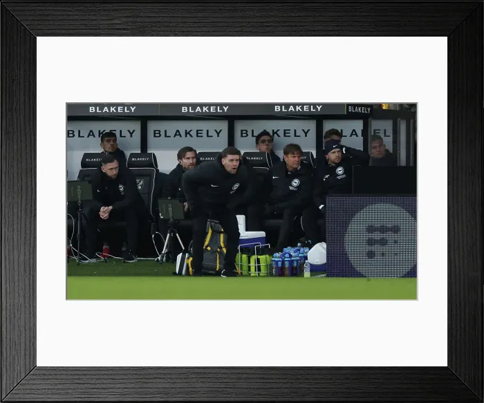 Framed Print : Norwich City v Brighton and Hove Albion Emirates FA Cup 11JAN25 Framed Print : Norwich City v Brighton and Hove Albion Emirates FA Cup 11JAN25