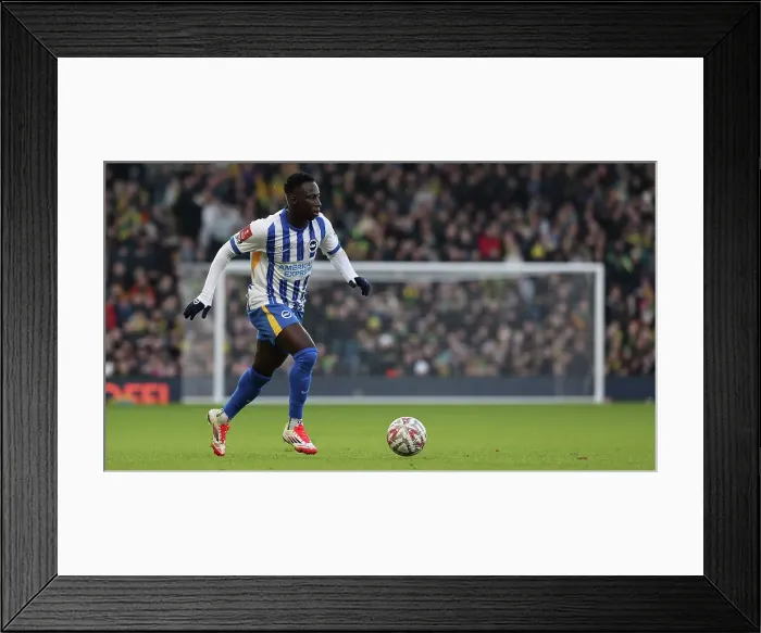 Framed Print : Norwich City v Brighton and Hove Albion Emirates FA Cup 11JAN25