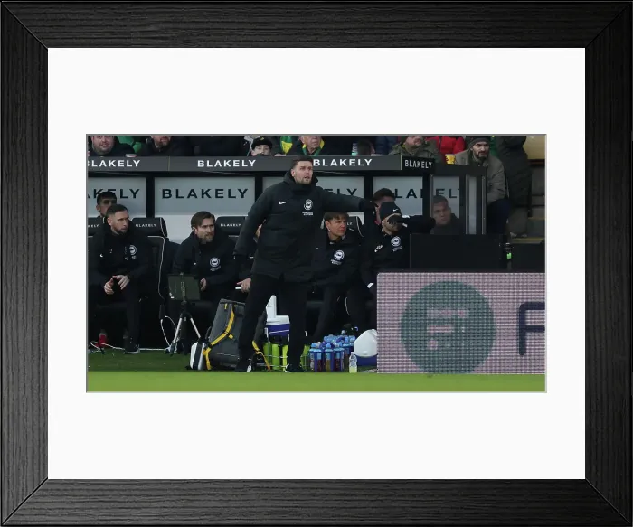 Framed Print : Norwich City v Brighton and Hove Albion Emirates FA Cup 11JAN25 Framed Print : Norwich City v Brighton and Hove Albion Emirates FA Cup 11JAN25