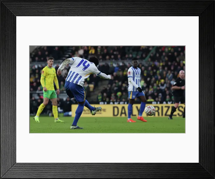Framed Print : Norwich City v Brighton and Hove Albion Emirates FA Cup 11JAN25 Framed Print : Norwich City v Brighton and Hove Albion Emirates FA Cup 11JAN25