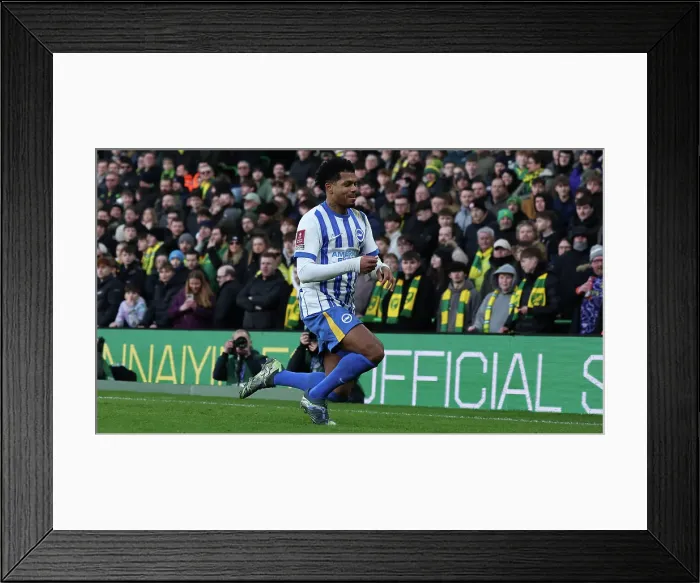 Framed Print : Norwich City v Brighton and Hove Albion Emirates FA Cup 11JAN25