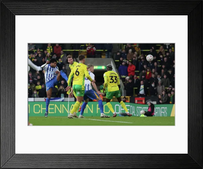 Framed Print : Norwich City v Brighton and Hove Albion Emirates FA Cup 11JAN25