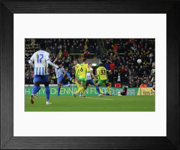Framed Print : Norwich City v Brighton and Hove Albion Emirates FA Cup 11JAN25