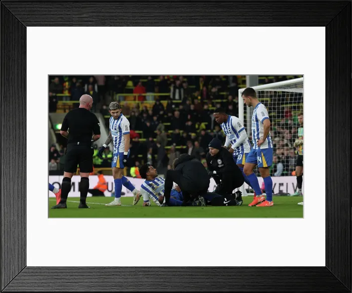 Framed Print : Norwich City v Brighton and Hove Albion Emirates FA Cup 11JAN25 Framed Print : Norwich City v Brighton and Hove Albion Emirates FA Cup 11JAN25
