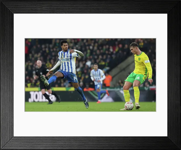 Framed Print : Norwich City v Brighton and Hove Albion Emirates FA Cup 11JAN25