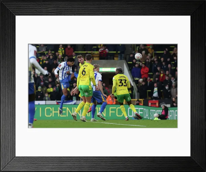 Framed Print : Norwich City v Brighton and Hove Albion Emirates FA Cup 11JAN25 Framed Print : Norwich City v Brighton and Hove Albion Emirates FA Cup 11JAN25