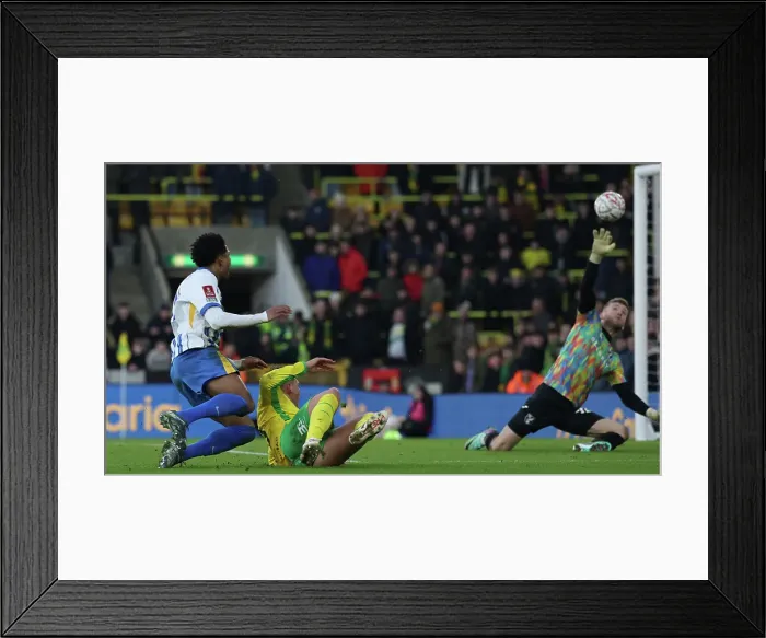 Framed Print : Norwich City v Brighton and Hove Albion Emirates FA Cup 11JAN25 Framed Print : Norwich City v Brighton and Hove Albion Emirates FA Cup 11JAN25