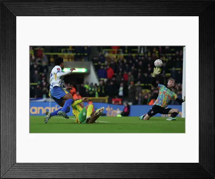 Framed Print : Norwich City v Brighton and Hove Albion Emirates FA Cup 11JAN25