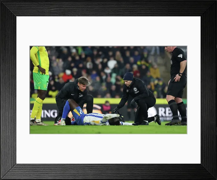 Framed Print : Norwich City v Brighton and Hove Albion Emirates FA Cup 11JAN25