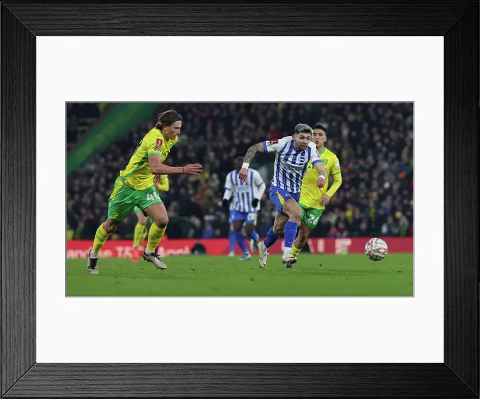 Framed Print : Norwich City v Brighton and Hove Albion Emirates FA Cup 11JAN25 Framed Print : Norwich City v Brighton and Hove Albion Emirates FA Cup 11JAN25