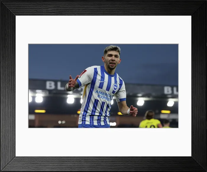 Framed Print : Norwich City v Brighton and Hove Albion Emirates FA Cup 11JAN25 Framed Print : Norwich City v Brighton and Hove Albion Emirates FA Cup 11JAN25