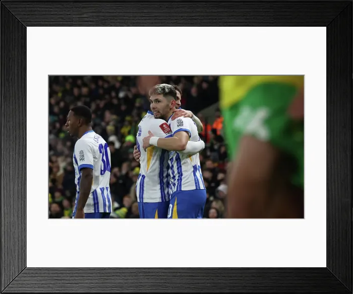 Framed Print : Norwich City v Brighton and Hove Albion Emirates FA Cup 11JAN25 Framed Print : Norwich City v Brighton and Hove Albion Emirates FA Cup 11JAN25