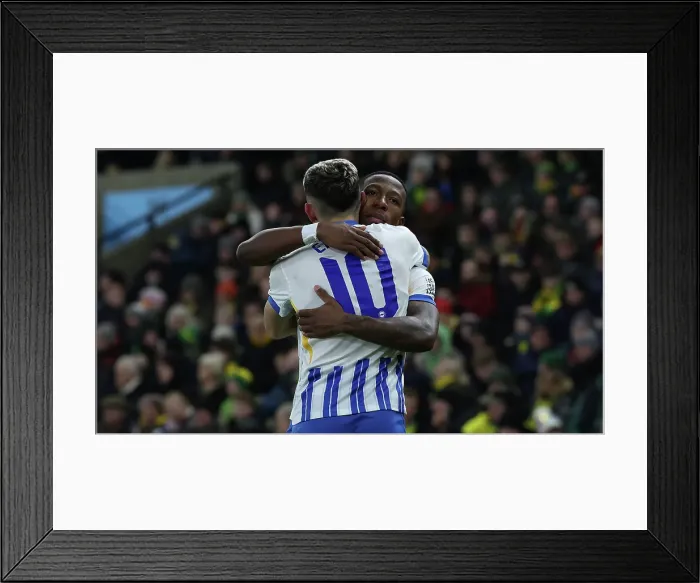 Framed Print : Norwich City v Brighton and Hove Albion Emirates FA Cup 11JAN25 Framed Print : Norwich City v Brighton and Hove Albion Emirates FA Cup 11JAN25
