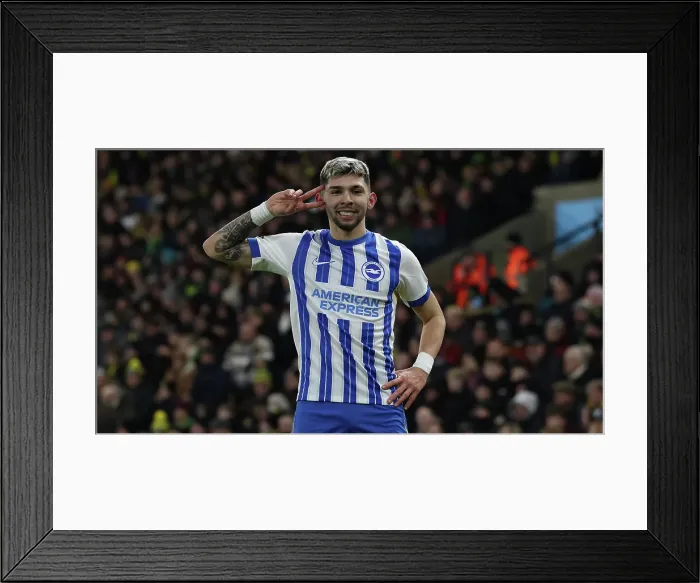 Framed Print : Norwich City v Brighton and Hove Albion Emirates FA Cup 11JAN25 Framed Print : Norwich City v Brighton and Hove Albion Emirates FA Cup 11JAN25