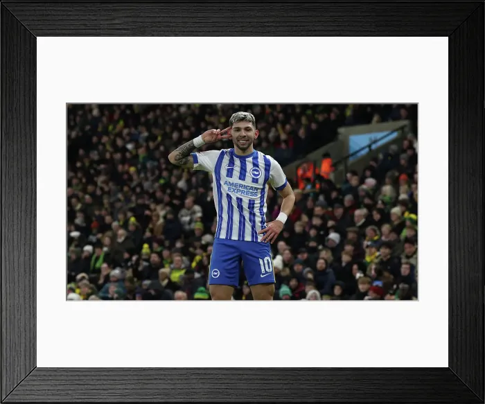 Framed Print : Norwich City v Brighton and Hove Albion Emirates FA Cup 11JAN25 Framed Print : Norwich City v Brighton and Hove Albion Emirates FA Cup 11JAN25