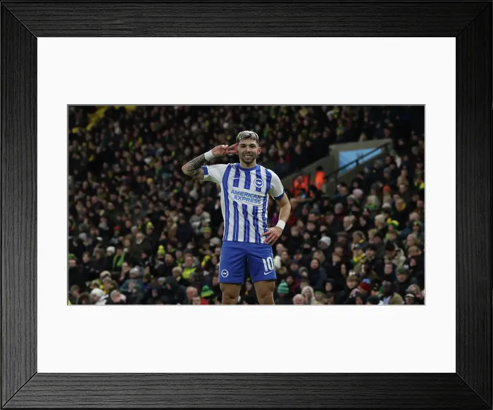 Framed Print : Norwich City v Brighton and Hove Albion Emirates FA Cup 11JAN25 Framed Print : Norwich City v Brighton and Hove Albion Emirates FA Cup 11JAN25