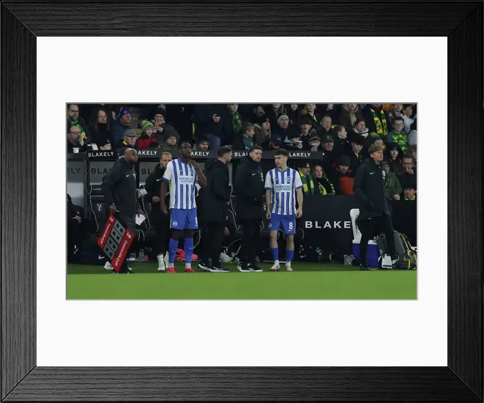 Framed Print : Norwich City v Brighton and Hove Albion Emirates FA Cup 11JAN25 Framed Print : Norwich City v Brighton and Hove Albion Emirates FA Cup 11JAN25