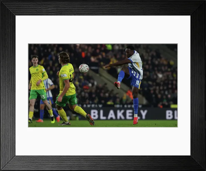 Framed Print : Norwich City v Brighton and Hove Albion Emirates FA Cup 11JAN25 Framed Print : Norwich City v Brighton and Hove Albion Emirates FA Cup 11JAN25