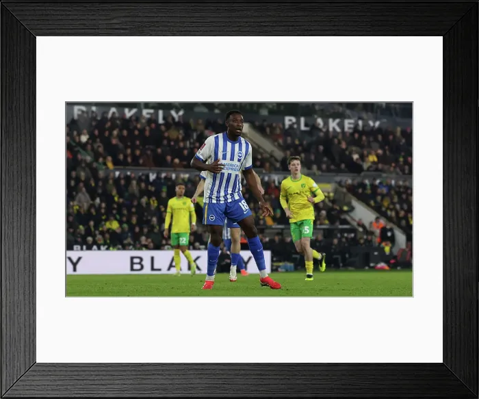 Framed Print : Norwich City v Brighton and Hove Albion Emirates FA Cup 11JAN25 Framed Print : Norwich City v Brighton and Hove Albion Emirates FA Cup 11JAN25