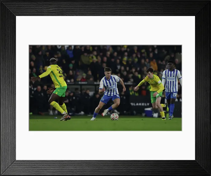 Framed Print : Norwich City v Brighton and Hove Albion Emirates FA Cup 11JAN25 Framed Print : Norwich City v Brighton and Hove Albion Emirates FA Cup 11JAN25