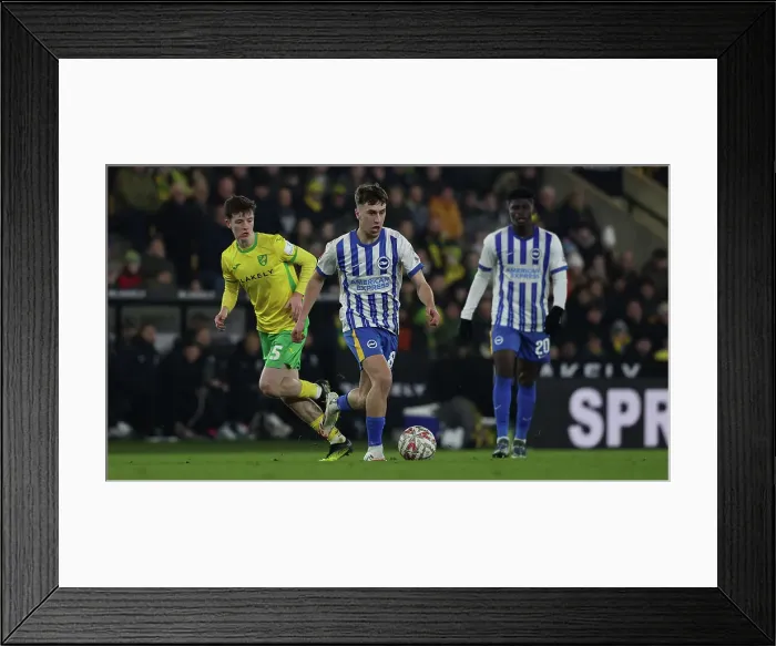 Framed Print : Norwich City v Brighton and Hove Albion Emirates FA Cup 11JAN25 Framed Print : Norwich City v Brighton and Hove Albion Emirates FA Cup 11JAN25