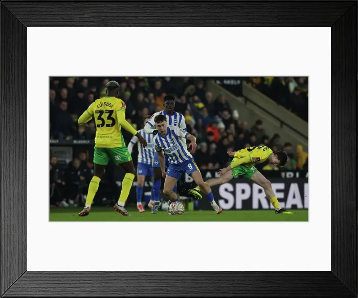 Framed Print : Norwich City v Brighton and Hove Albion Emirates FA Cup 11JAN25 Framed Print : Norwich City v Brighton and Hove Albion Emirates FA Cup 11JAN25