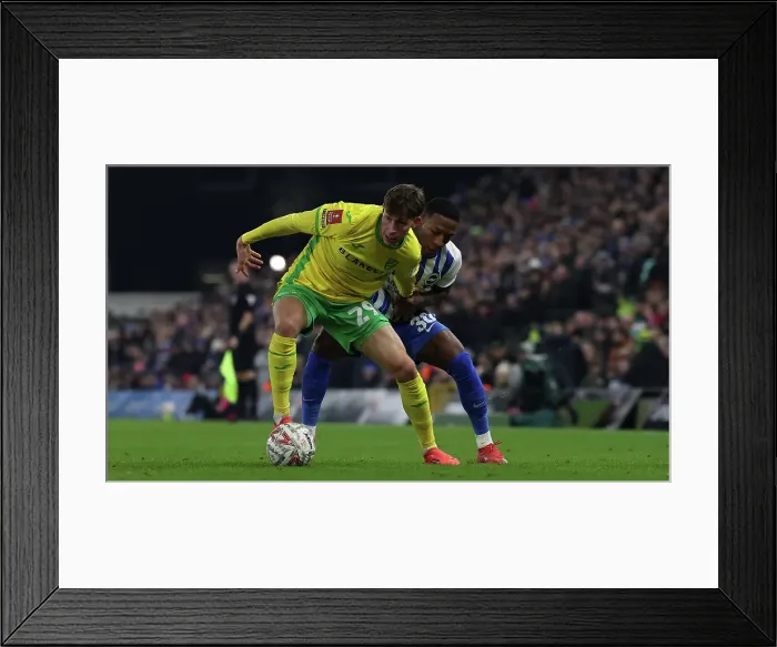 Framed Print : Norwich City v Brighton and Hove Albion Emirates FA Cup 11JAN25 Framed Print : Norwich City v Brighton and Hove Albion Emirates FA Cup 11JAN25