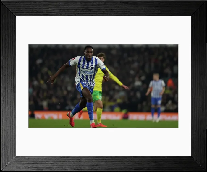 Framed Print : Norwich City v Brighton and Hove Albion Emirates FA Cup 11JAN25 Framed Print : Norwich City v Brighton and Hove Albion Emirates FA Cup 11JAN25