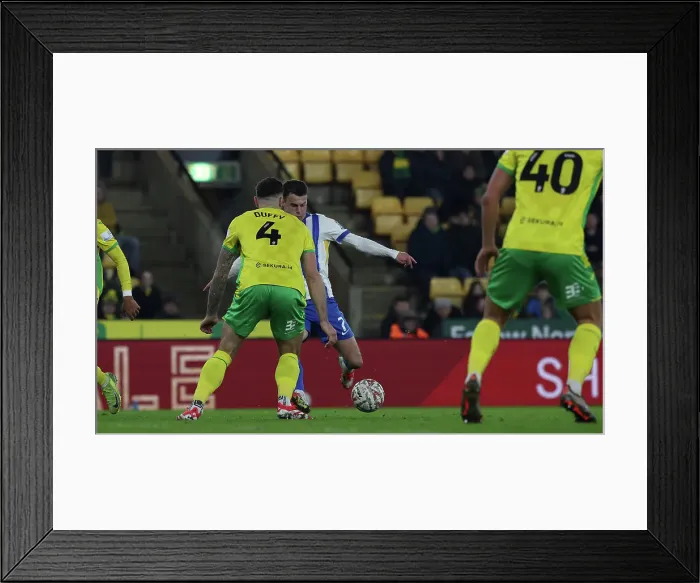 Framed Print : Norwich City v Brighton and Hove Albion Emirates FA Cup 11JAN25 Framed Print : Norwich City v Brighton and Hove Albion Emirates FA Cup 11JAN25