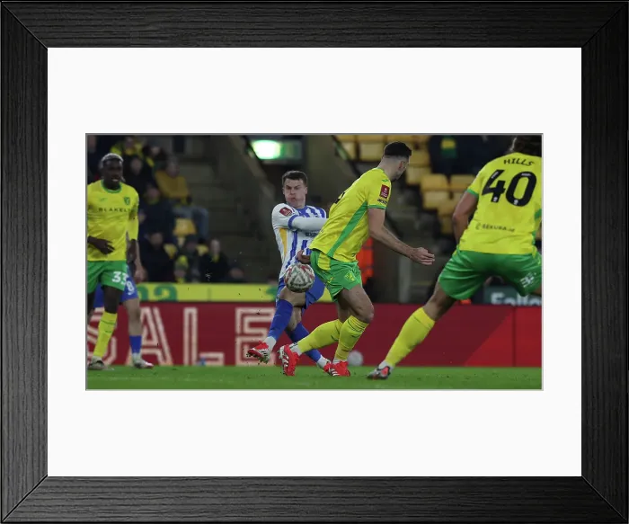 Framed Print : Norwich City v Brighton and Hove Albion Emirates FA Cup 11JAN25 Framed Print : Norwich City v Brighton and Hove Albion Emirates FA Cup 11JAN25