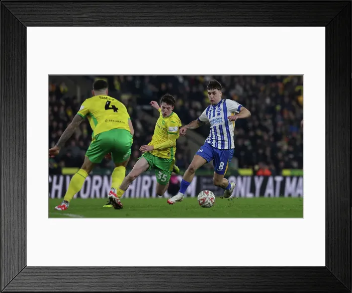 Framed Print : Norwich City v Brighton and Hove Albion Emirates FA Cup 11JAN25 Framed Print : Norwich City v Brighton and Hove Albion Emirates FA Cup 11JAN25