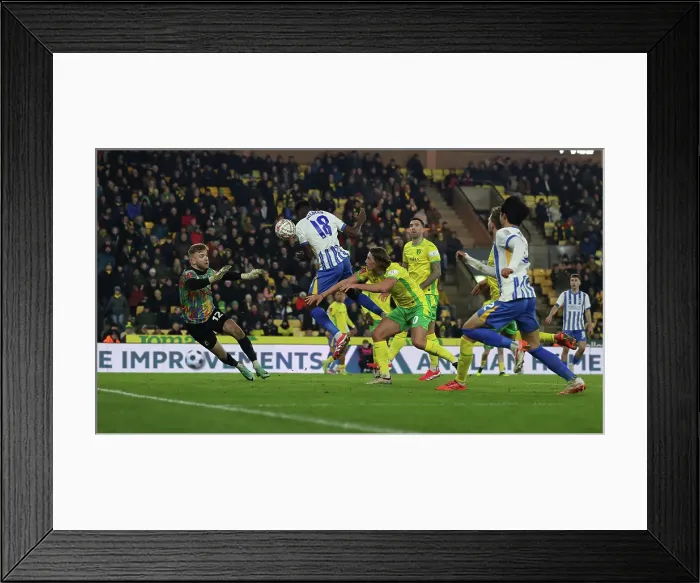 Framed Print : Norwich City v Brighton and Hove Albion Emirates FA Cup 11JAN25 Framed Print : Norwich City v Brighton and Hove Albion Emirates FA Cup 11JAN25